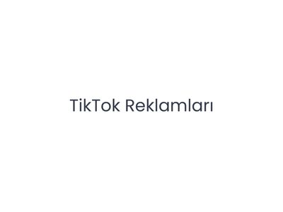 TikTok Ads